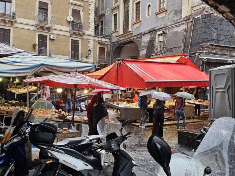 Marché des pêcheurs sous la pluie