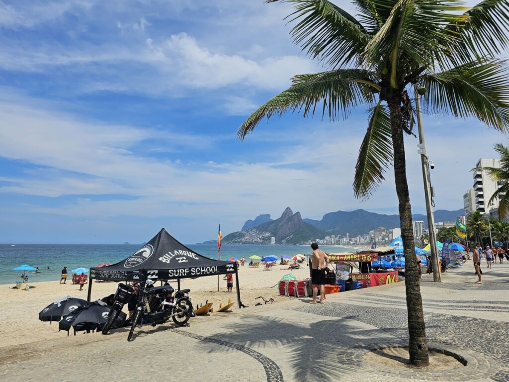 Palmiers sur une plage de Rio de Janeiro