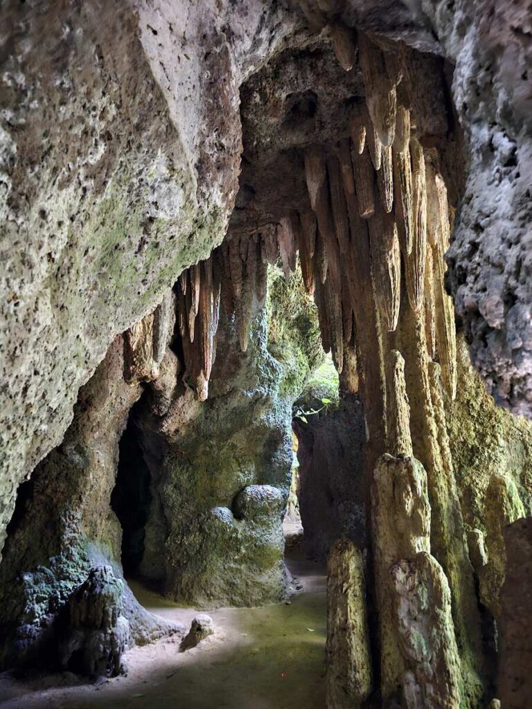 Stalactites dans l'entrée d'une la grotte