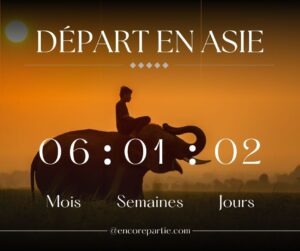 montage photo du compte à rebours pour le voyage en Asie #asie #vietnam