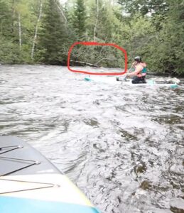 Sandra à genoux sur son paddleboard devant un arbre dans mon article Récit d’un choc post-traumatique sur la rivière Missisquoi en paddleboard #paddleboard #chocposttraumatique #reflexion #SUP