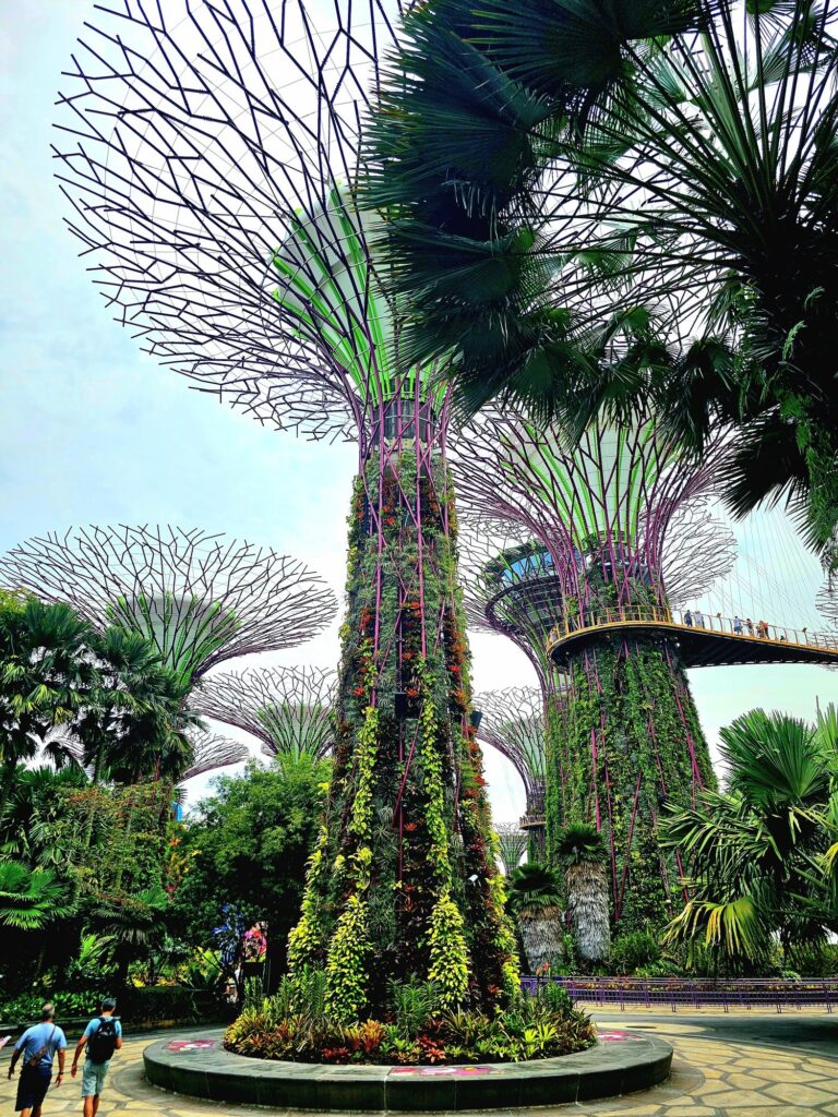 Arbres gigantesques du Supertree Grove au Garden-by-the-Bay de Singapour à voir absolument quand on visite la ville en voyage