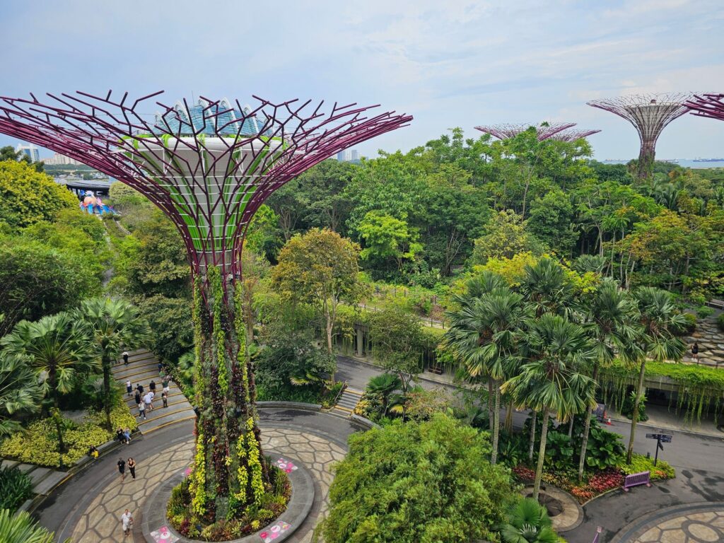 Vue de la passerelle de l'OCDC Skywalk du parc Supertree Grove à Singapour, où ma soeur et moi avons marché lors de notre voyage en Asie 2025