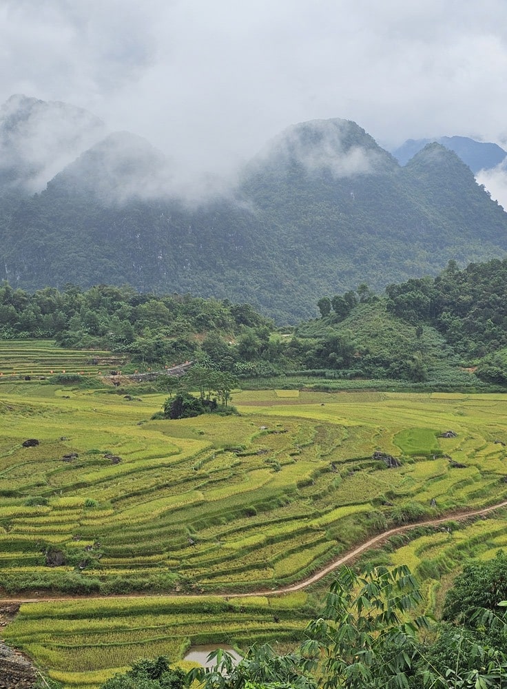 Les rizières étaient spectaculaires malgré les nuages devant les montagnes, lors de notre voyage au Vietnam