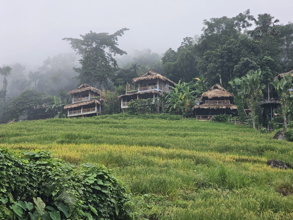 Jolies maisonnettes au coeur des rizières de Pu Luong, au nord du Vietnam