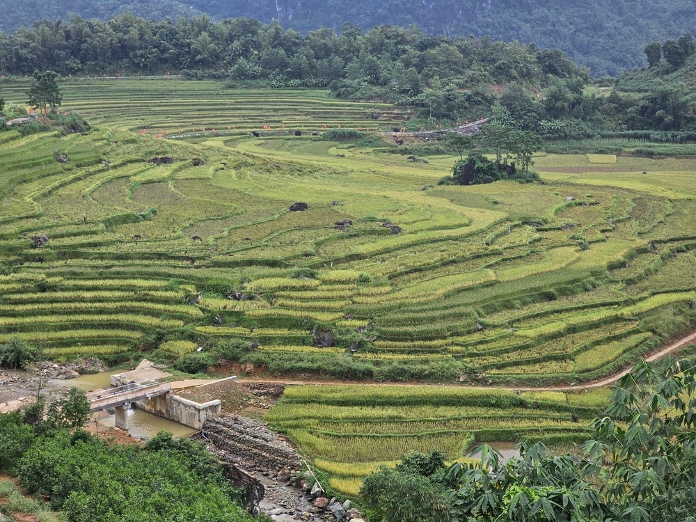 Rizières en terrasse de Pu Luong, à voir au Vietnam