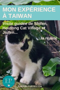 Épingle Pinterest sur l'escale à Séoul Épingles pinterest pour faire la promotion de mon article de voyage sur la réalité des tours organisées à Taiwan des villages de Shifen, Houtong et Jiufen