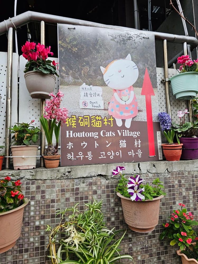 Pancarte qui annonce où se trouve le village de Houtong pour voir les chats dans les rues #catcoffee #taipei #houtong #taiwan