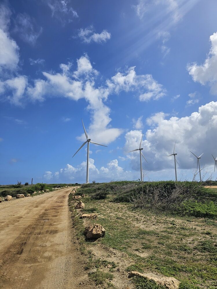 Sur le chemin du parc national de Arikok, j'ai vu des éoliennes, pendant mon voyage à Aruba #aruba