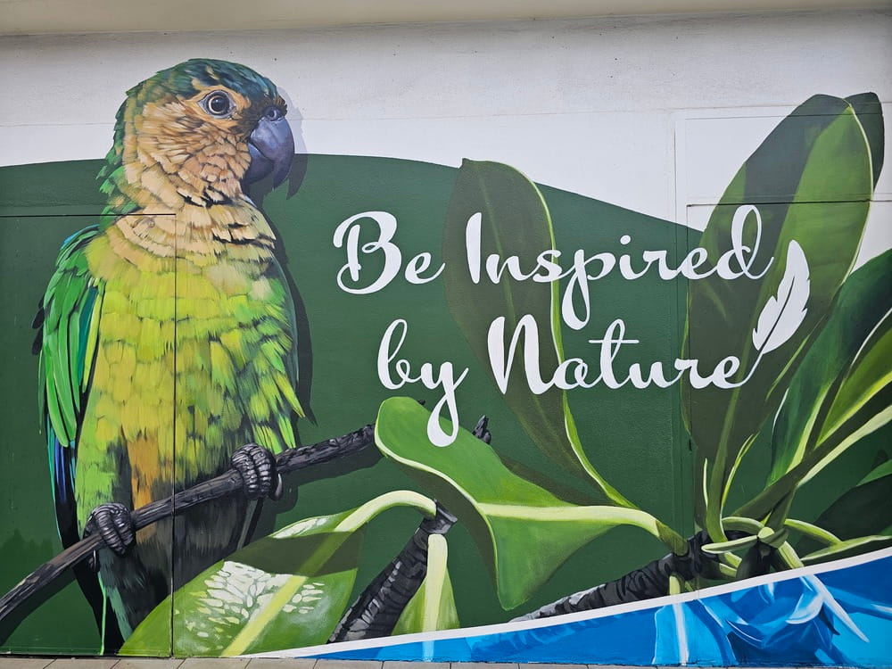 Pendant mon voyage à Aruba, j'ai vu des graffitis sur les murs de la ville à Oranjestad