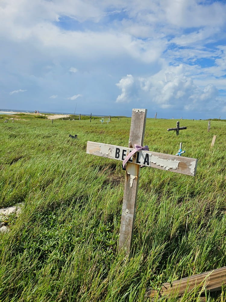 Cimetière pour animaux découvert par hasard paendant que je marchais sur une plage de la côte Est à Aruba #aruba #roadtrip