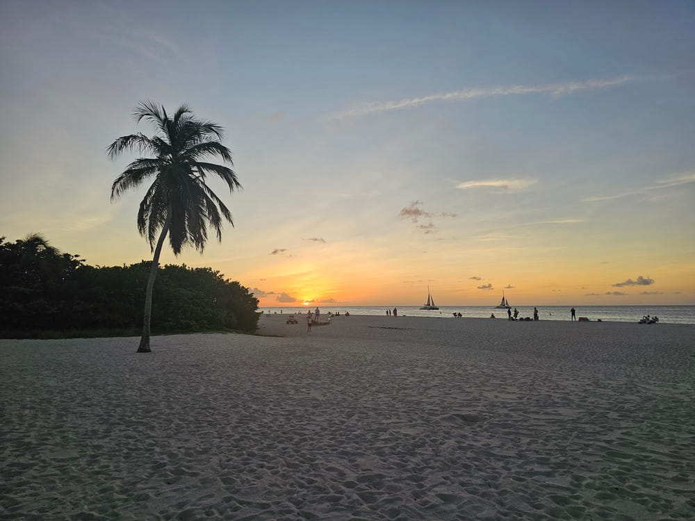 Dès mon arrivée à Aruba, je suis allée à Eagle Beach pour voir le coucher de soleil #aruba #roadtrip