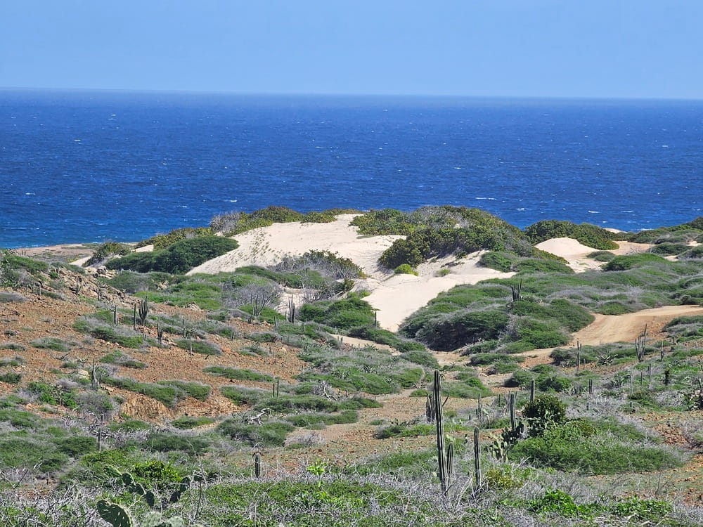 En route dans le parc national de Arikok à Aruba avec une vue sur les dunes de sable au loin #aruba