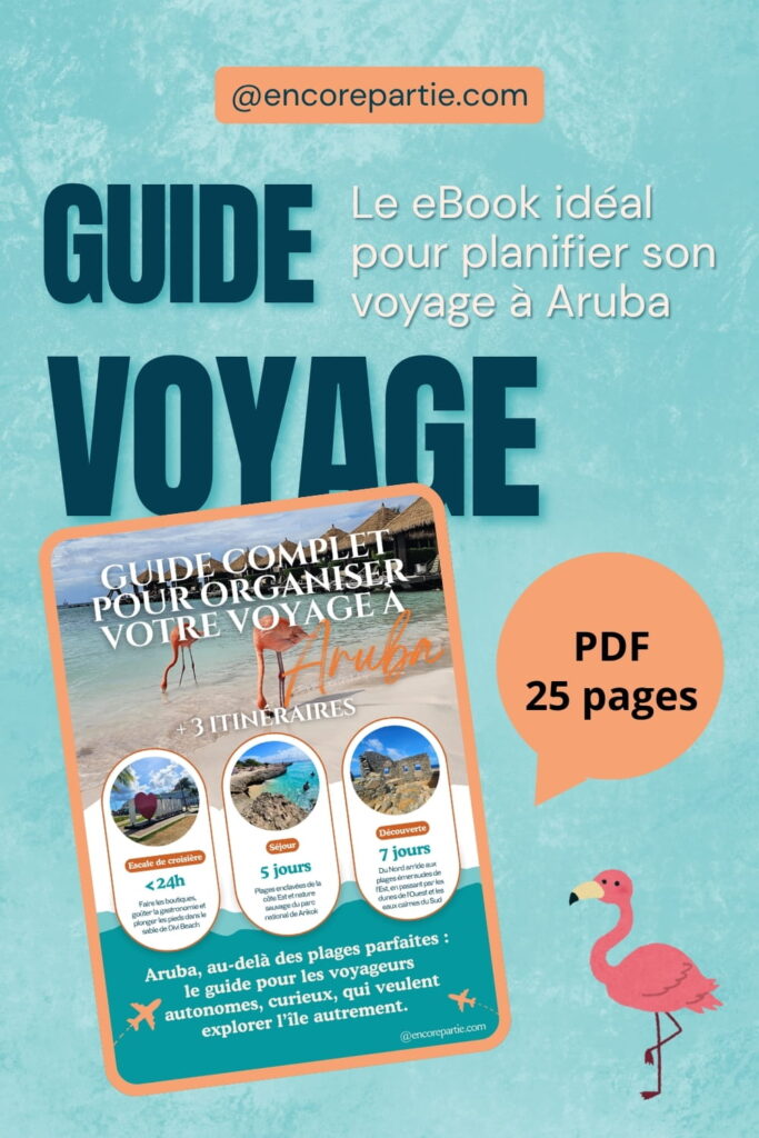 Épingle pinterest pour promouvoir un guide de voyage PDF complet à télécharger sur Aruba #ebook #aruba