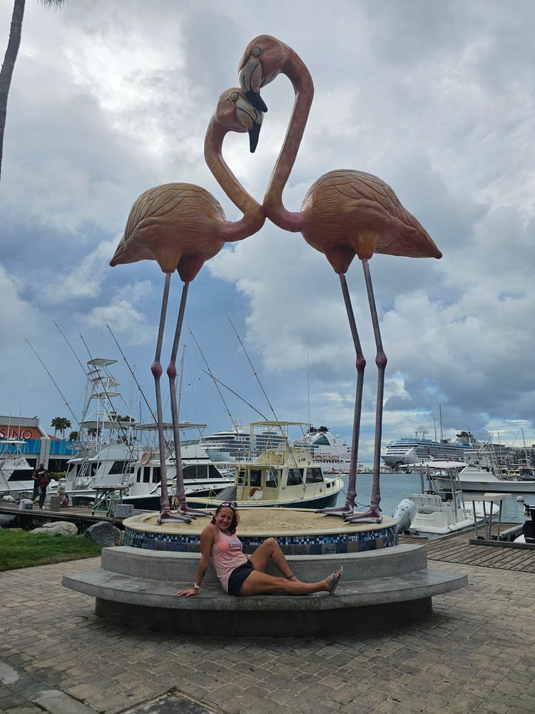 À Oranjestad on peut voir ce symbole du pays avec les flamants roses de Aruba #aruba