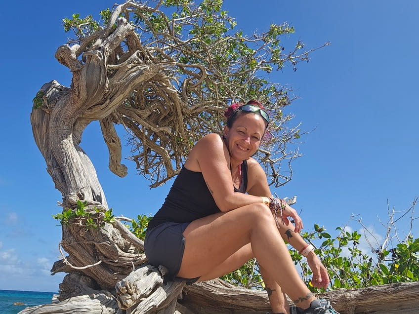 Je suis devant un arbre appelé Divi Tree à Aruba pendant mon roadtrip à l'île #aruba #roadtrip #voyagesolo