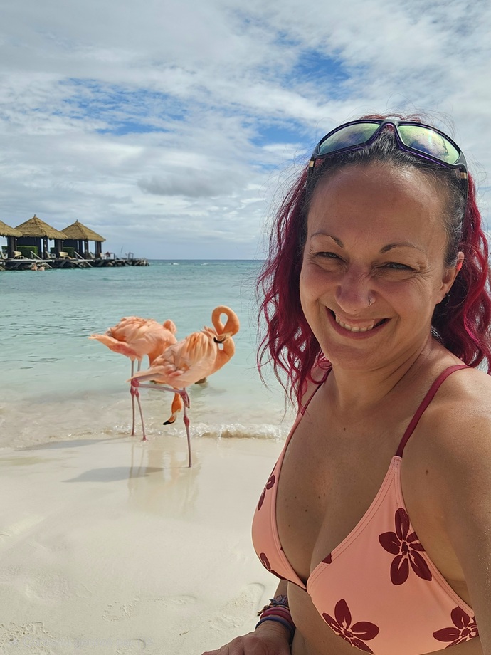 Je suis avec les flamants roses de l'île de la Renaissance à Aruba pendant mon roadtrip #aruba #roadtrip