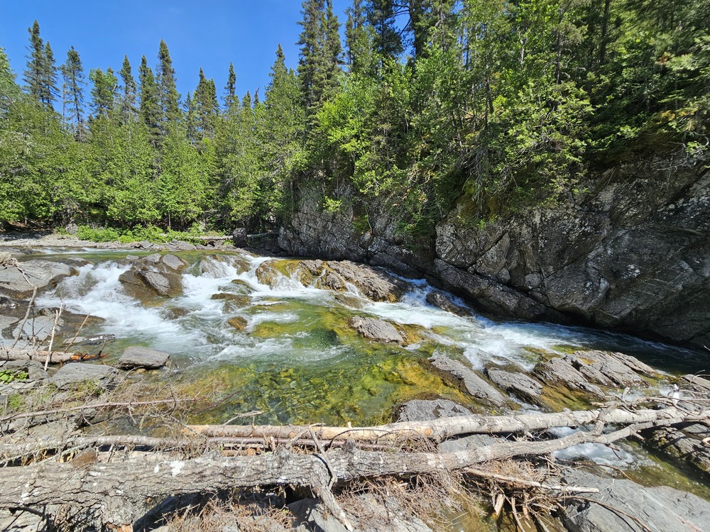 Paysage nordique et eau transparente sur la rivière Bonaventure en Gaspésie #paddleboard #Gaspesie