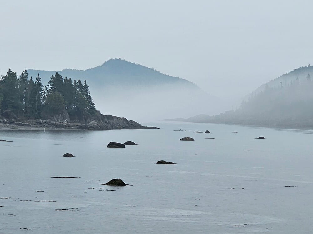 Brume au petit matin au parc du Bic près de Rimouski au Québec
