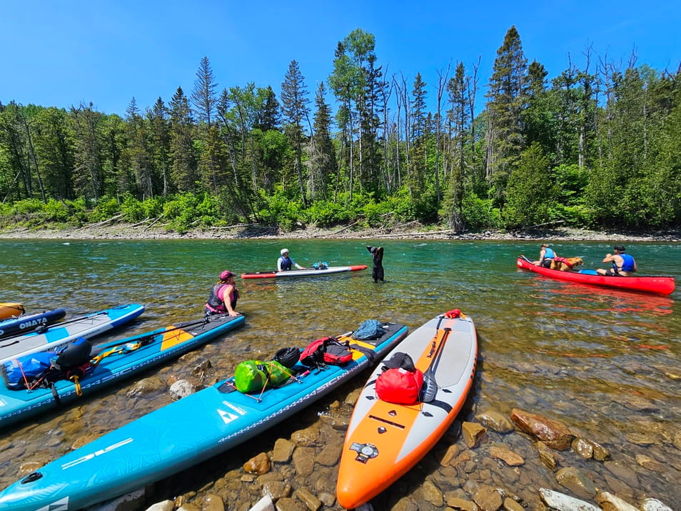 On prend une pause avec nos planches de paddle après la descente du deuxième rapide sur la rivière Bonaventure en Gaspésie #paddleboard #Gaspesie