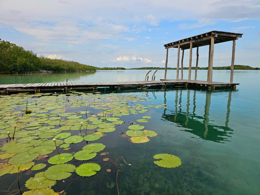 Découverte d'un endroit caché en faisant du paddle sur nos planches au Mexique #bacalar #SUP