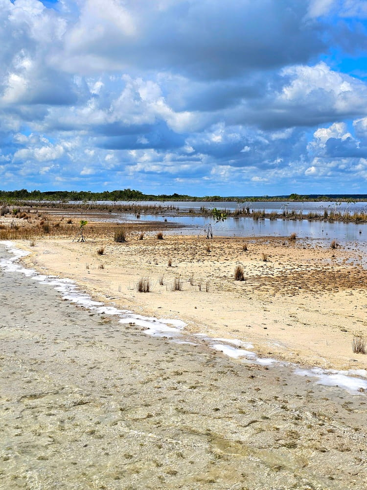 Paysage desséché de Bacalar près des lagons