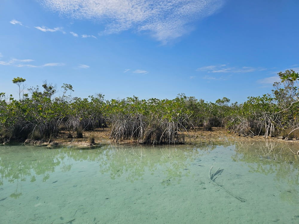 Faire de la planche à pagaie dans les eaux translucides des lagons de Bacalar #SUP #bacalar #mexique